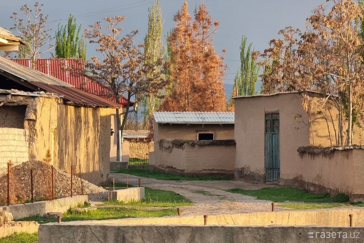 Til madaniyat xazinasi